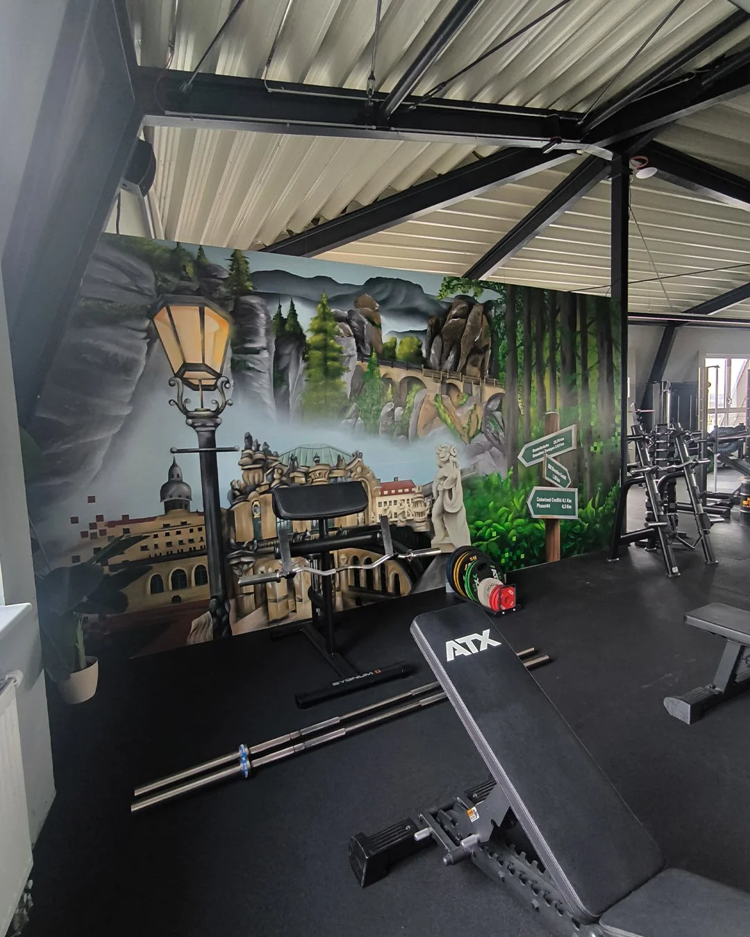 Fitnessraum mit Wandmural, das eine Landschaft mit Hügeln, Wasserfällen, Bäumen und einer Straße zeigt, sowie Krafttrainingsgeräte.
