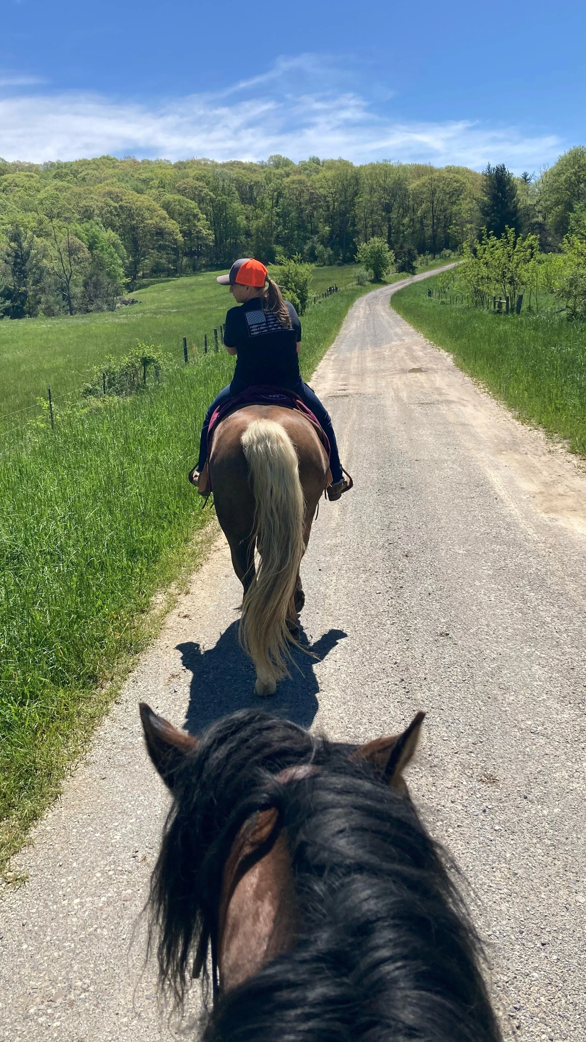 Pet Sitter 8 hours a day weekend booking only.