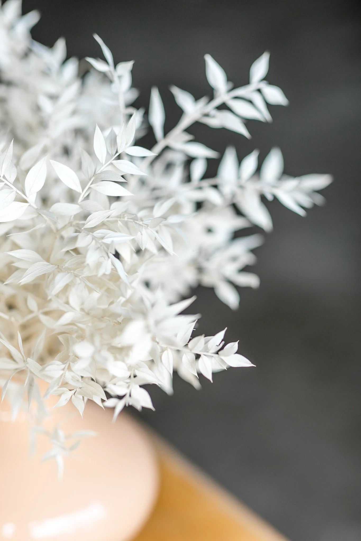 Close-up of white leaves in a beige vase on a wooden surface against a dark background.