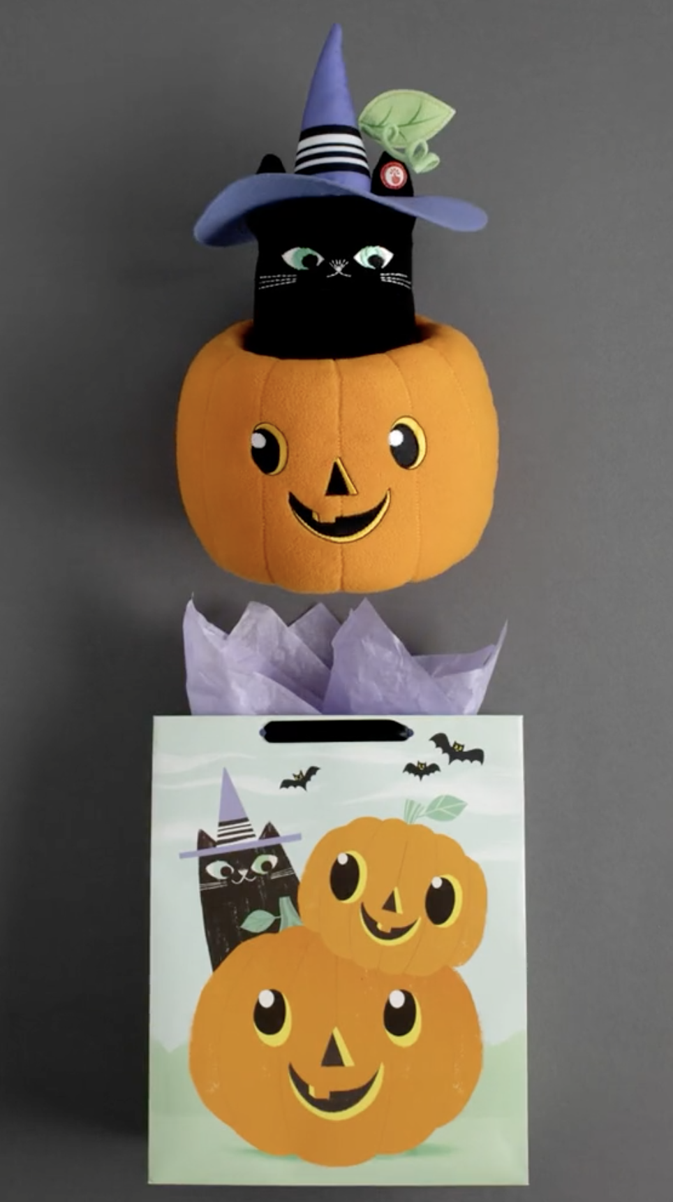 Halloween Stop Motion 