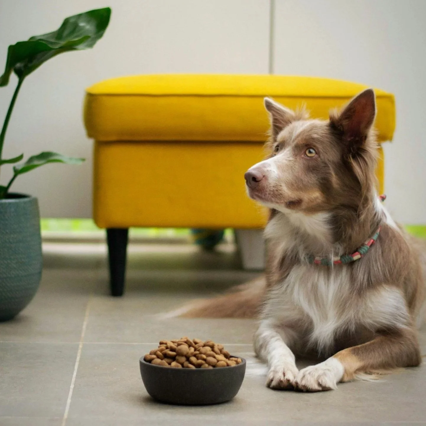 Henkilökuntamme antaa tarvittaessa lisätietoa erikoisruokavalioista.