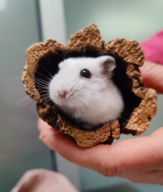 Screenshot 2026-03-02 at 17.26.48.png