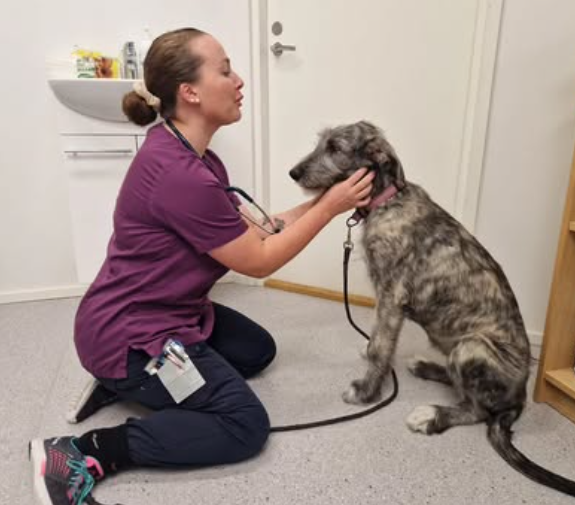 Screenshot 2026-03-02 at 17.26.56.png