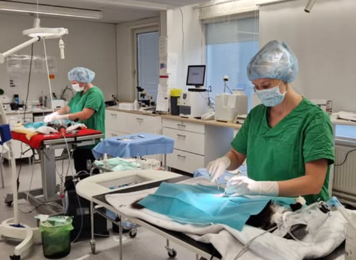 Screenshot 2026-03-02 at 17.27.04.png