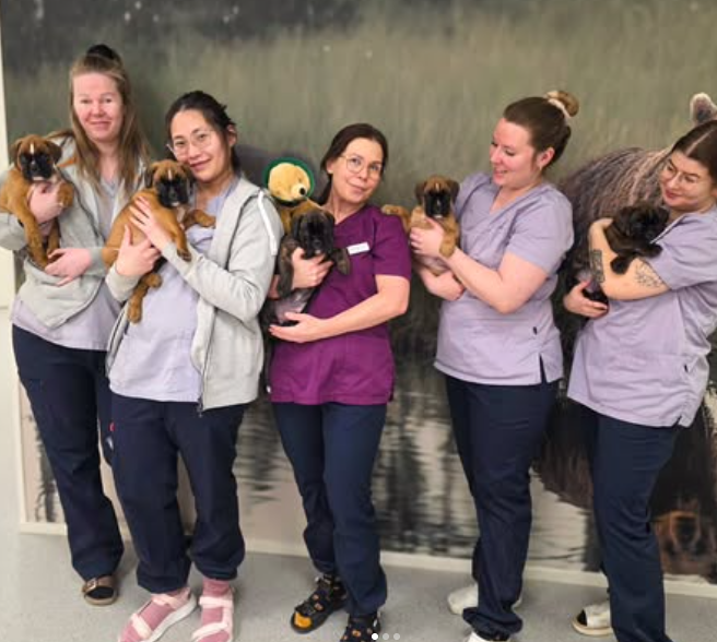 Screenshot 2026-03-02 at 17.26.41.png