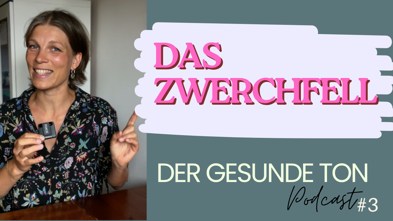 Das Zwerchfell ist mehr als ein Atemmuskel