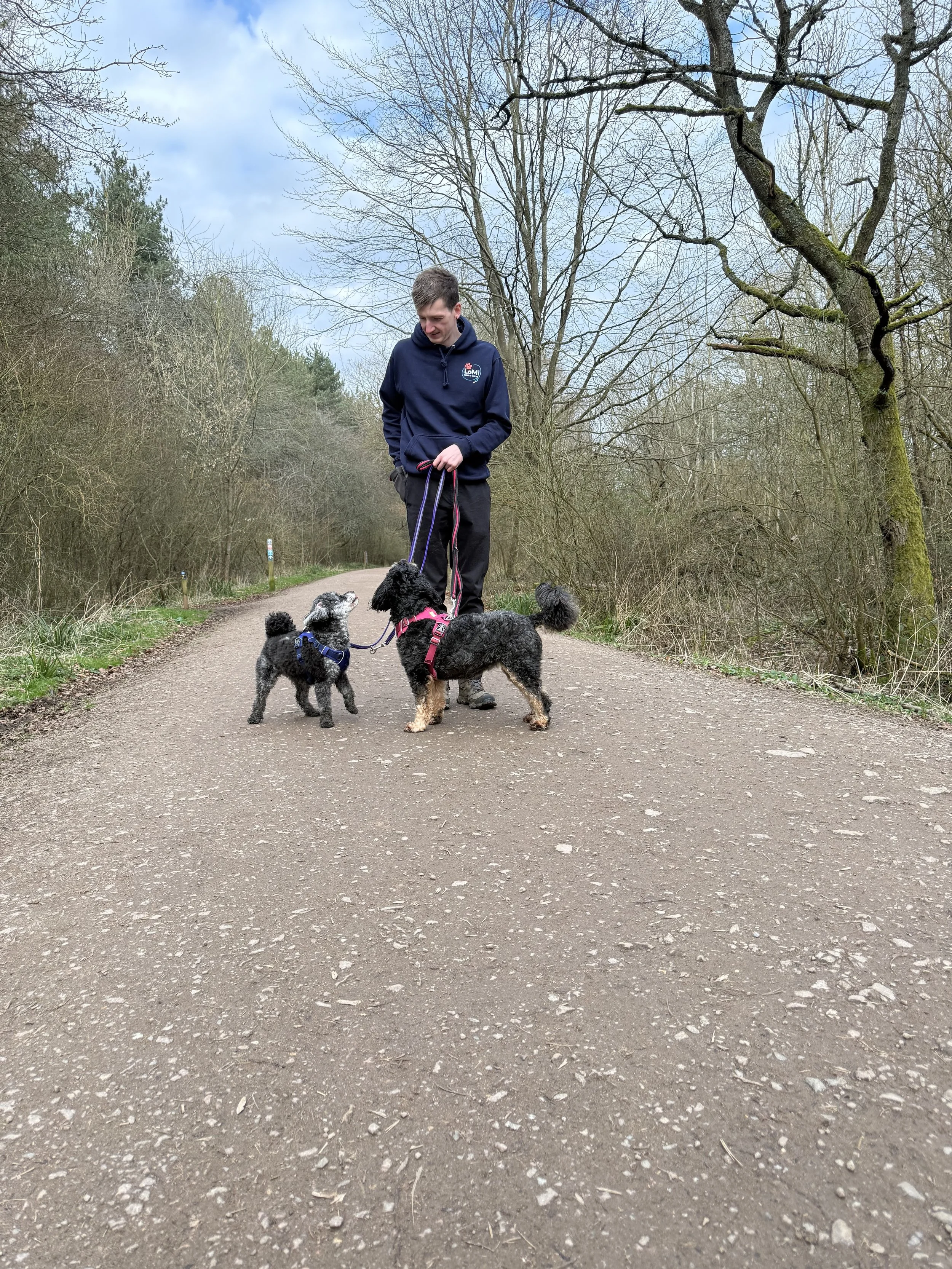 A man walking two dogs on a dirt trail in a wooded area during daytime.