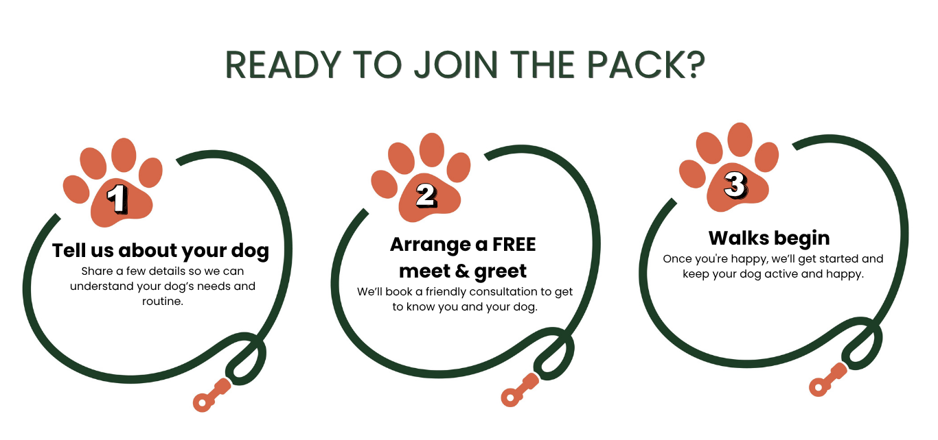 Infographic titled "Ready to join the pack?" with three steps, each represented by a paw print with a number. Step 1: 'Tell us about your dog,' with instructions to share details about your dog's needs and routine. Step 2: 'Arrange a free meet & greet,' with information about booking a consultation. Step 3: 'Walks begin,' explaining that once you're happy, walks will start to keep your dog active and happy.