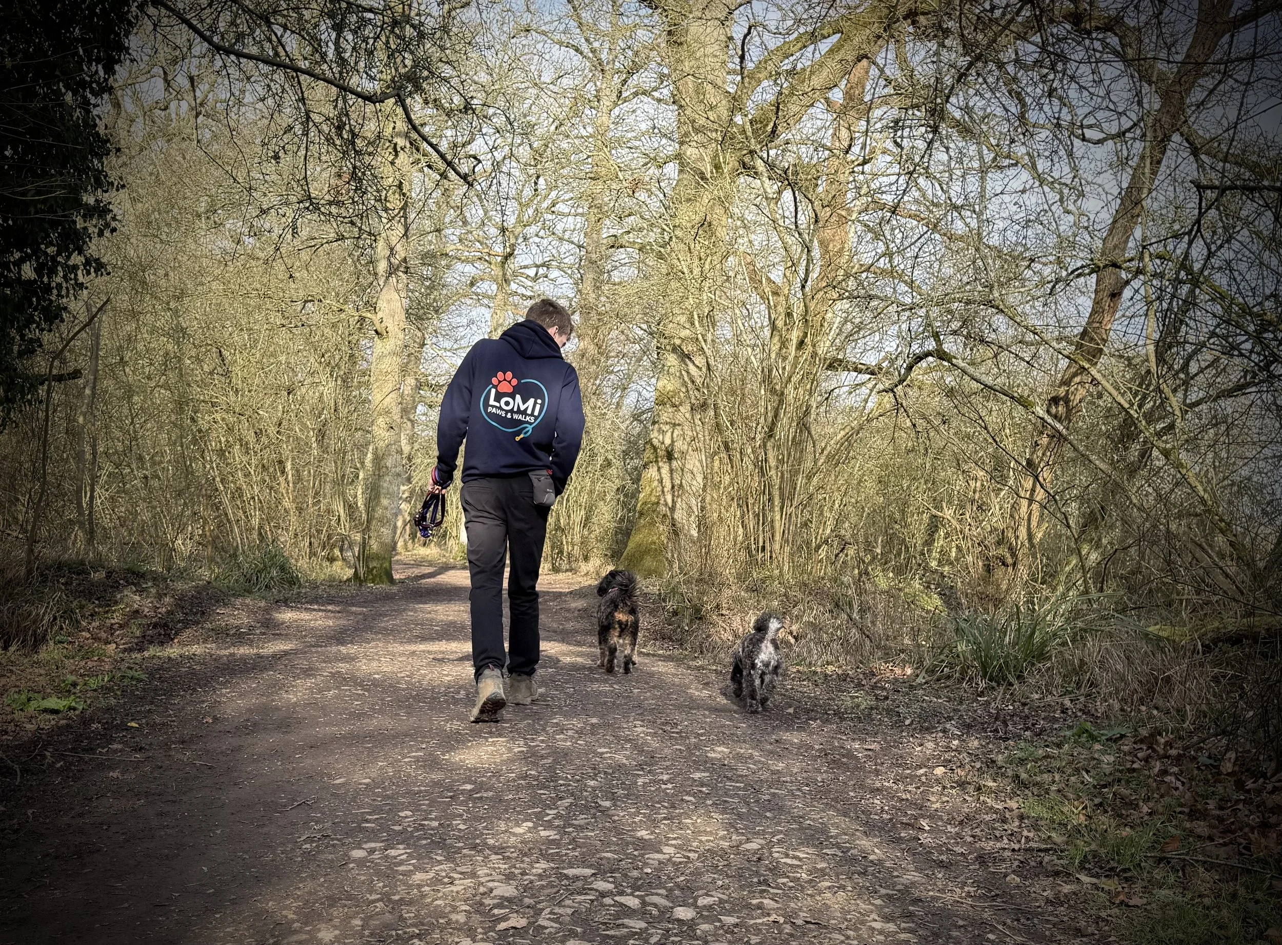 A person walking on a dirt trail in a wooded park with two dogs.