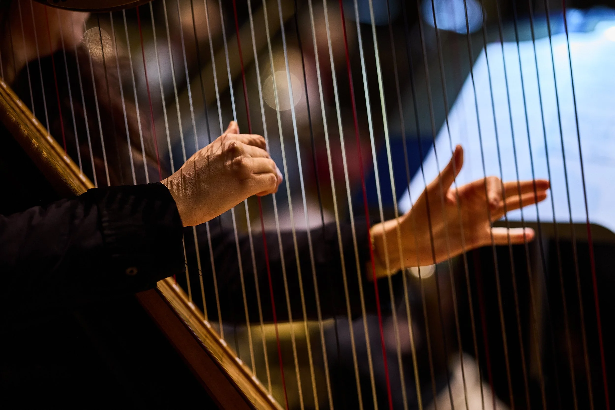 Symphony of Us – Paul O’Donnell & Tessa Walker