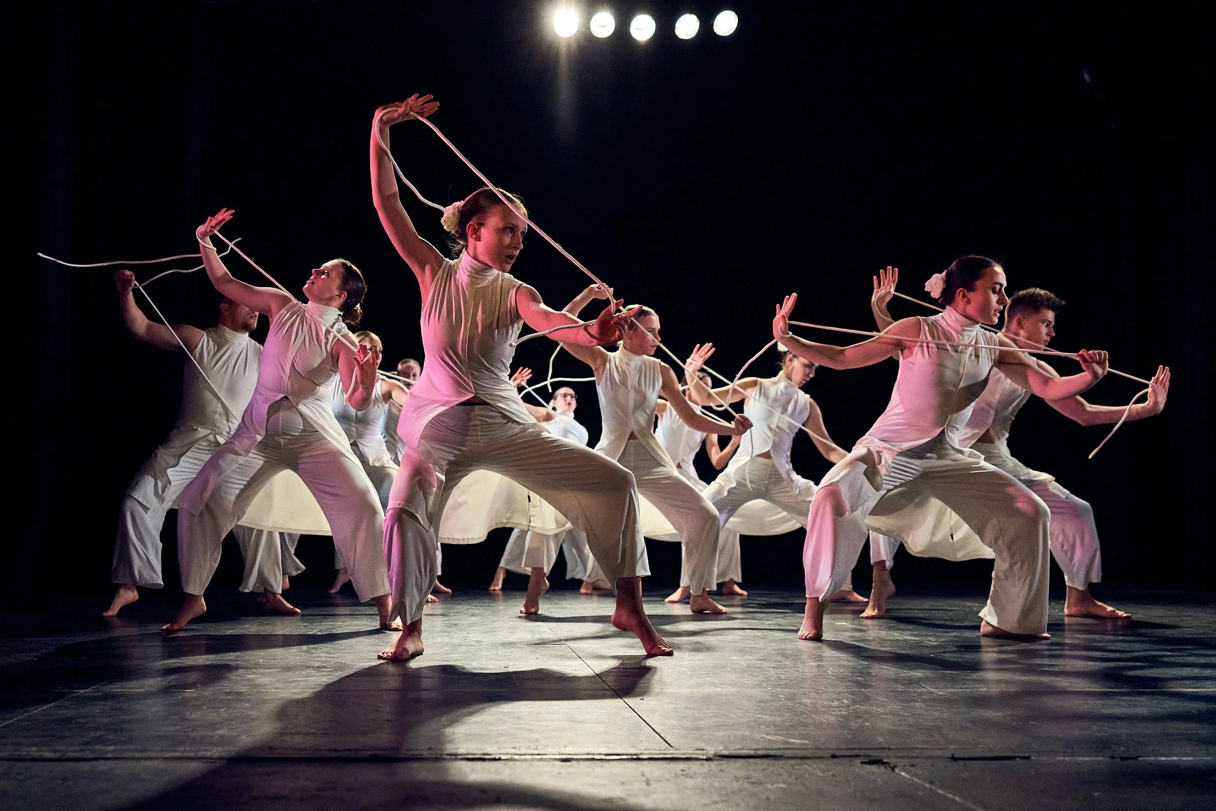 Pinnacle Platform – Ascension Dance