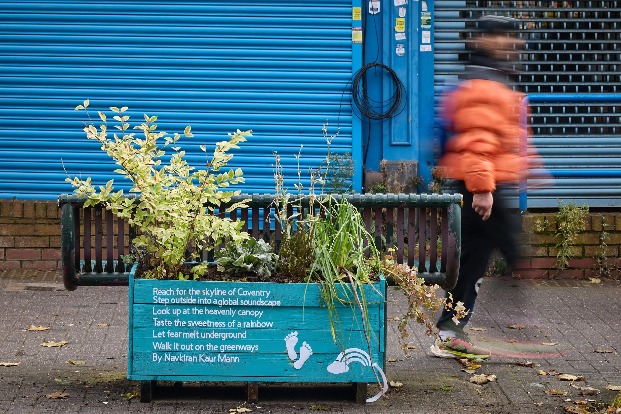 Green Ways – Talking Birds
