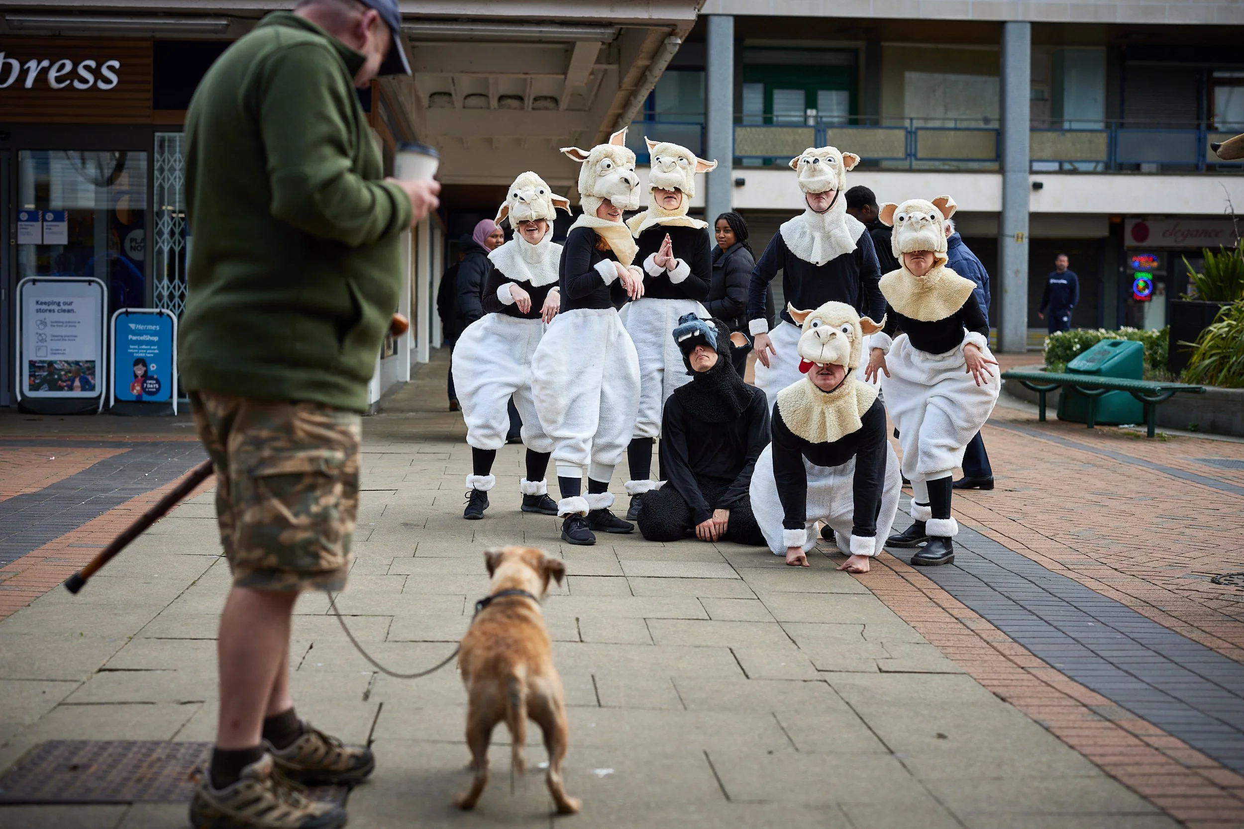 Sheep – The Fabularium