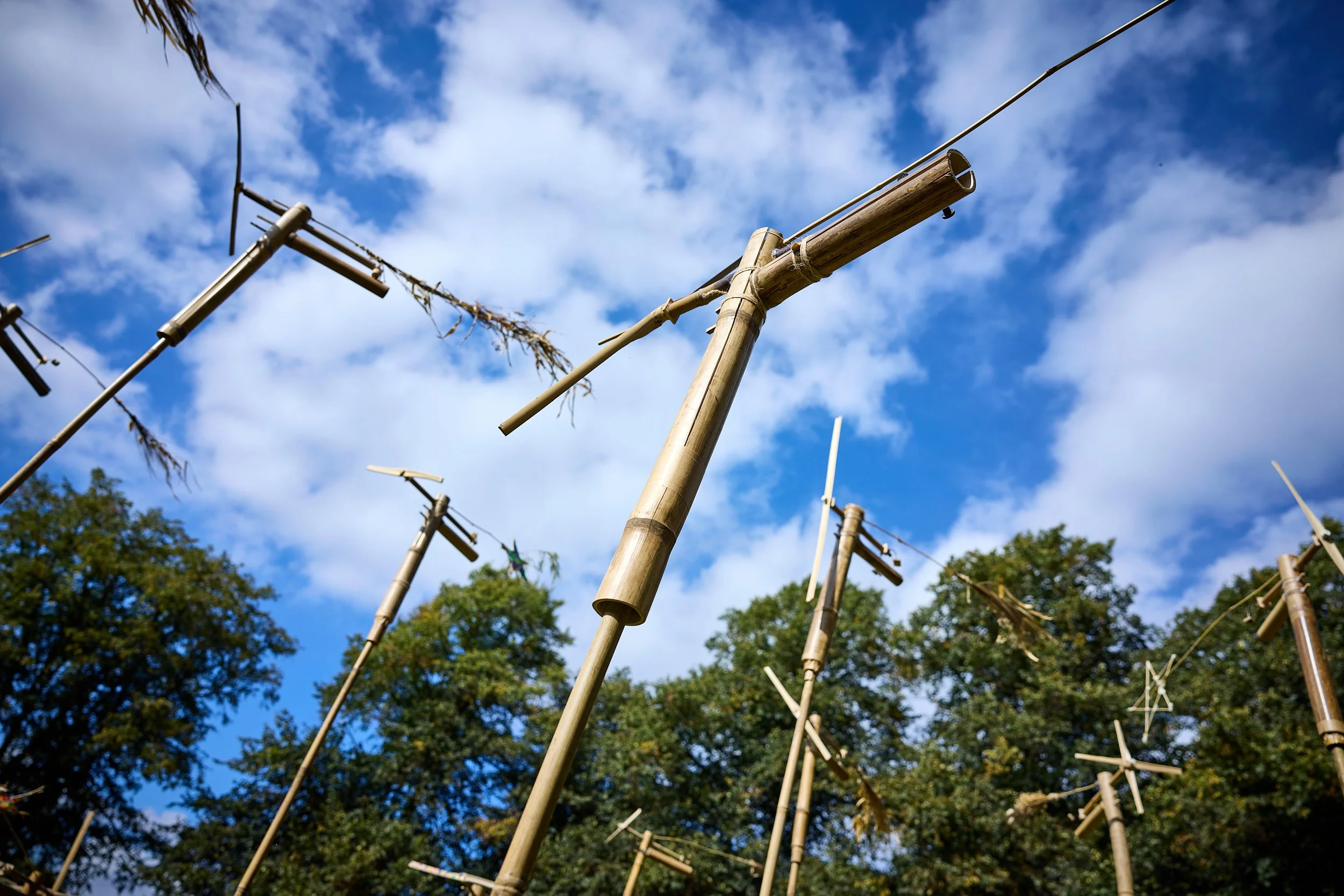 Imagine Bamboo, Imagineer