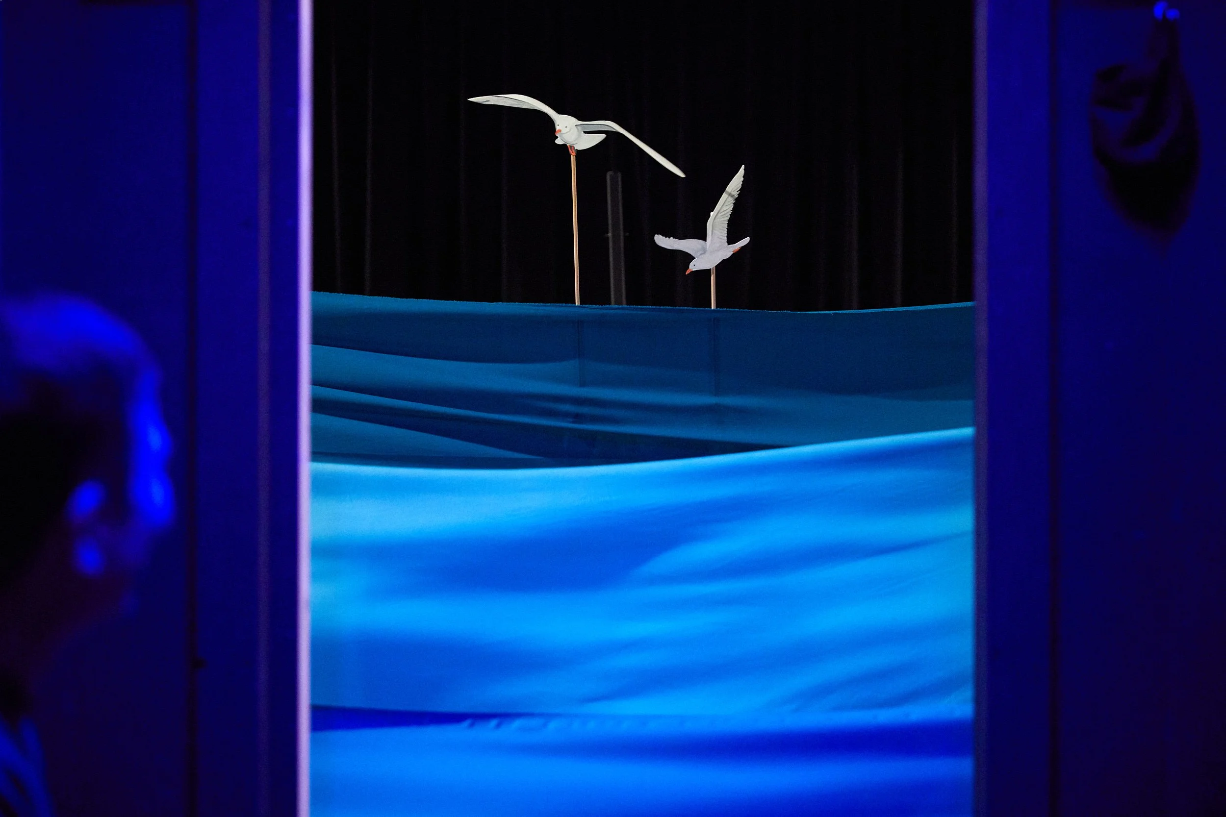 Capsule – Talking Birds
