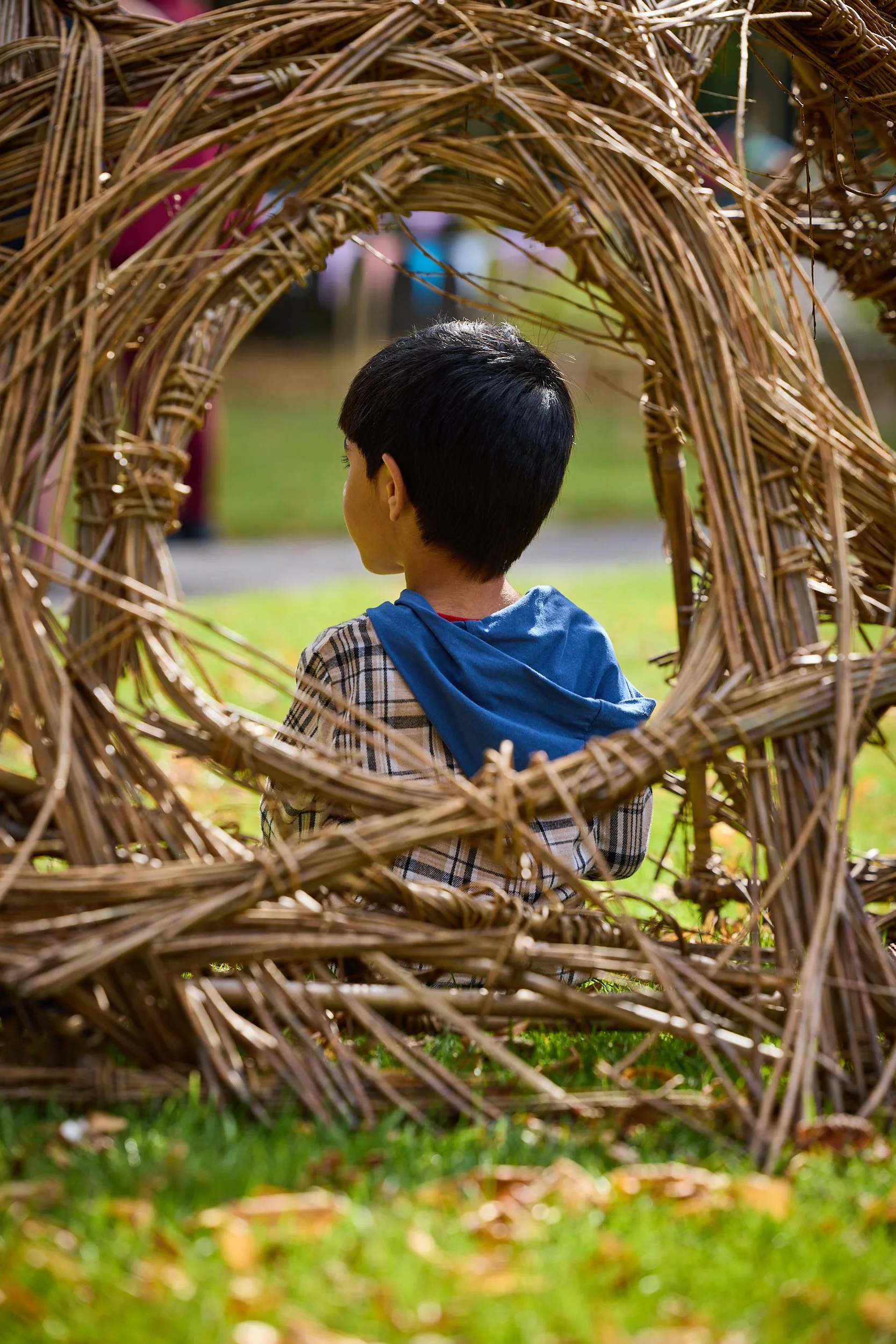 Imagine Bamboo – Imagineer