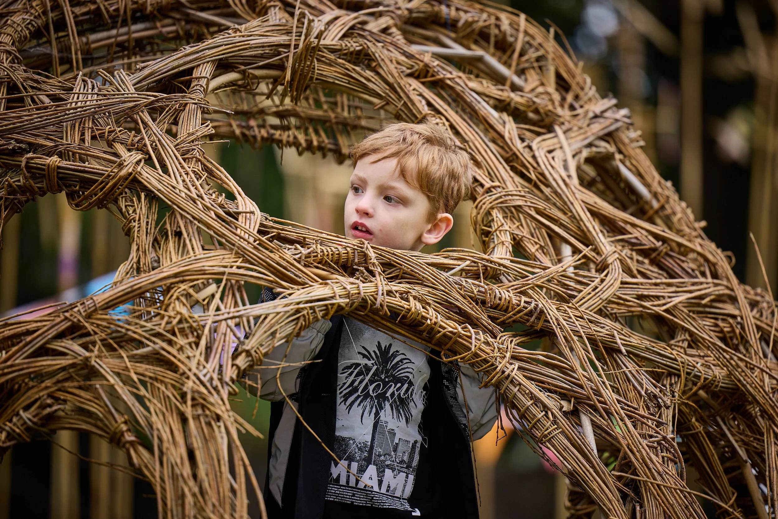 Imagine Bamboo, Imagineer