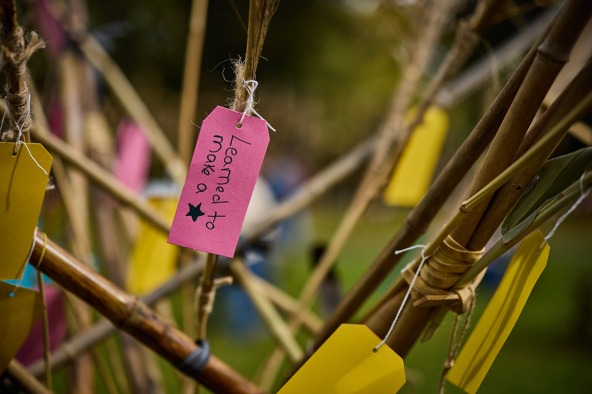 Imagine Bamboo, Imagineer