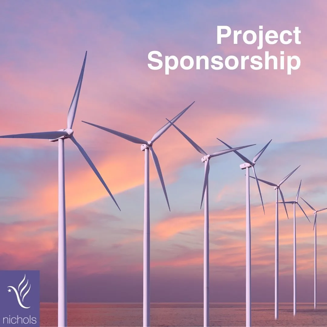 Project Sponsorship