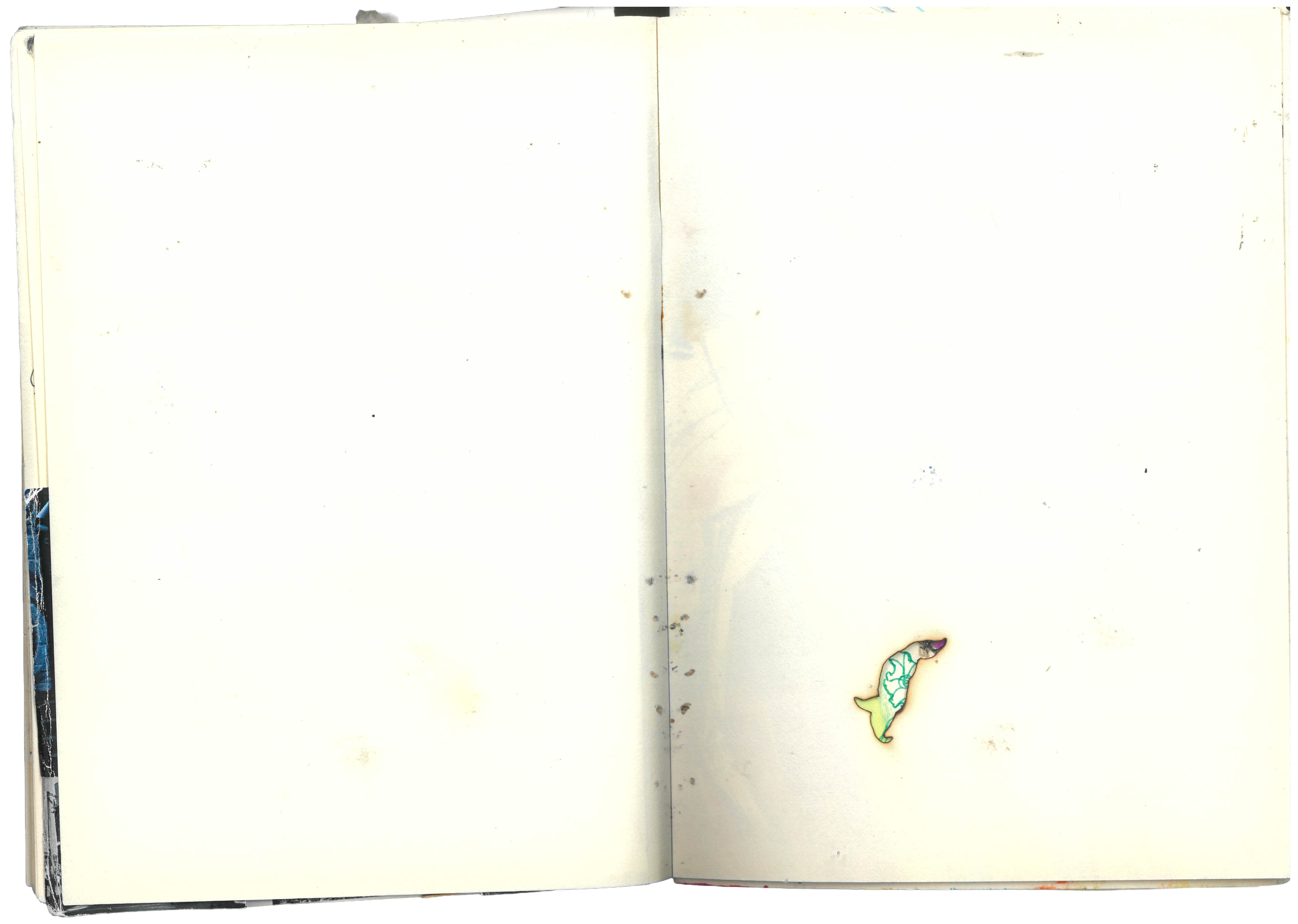 scan_23034635_2026-03-11-14-54-48_2.png