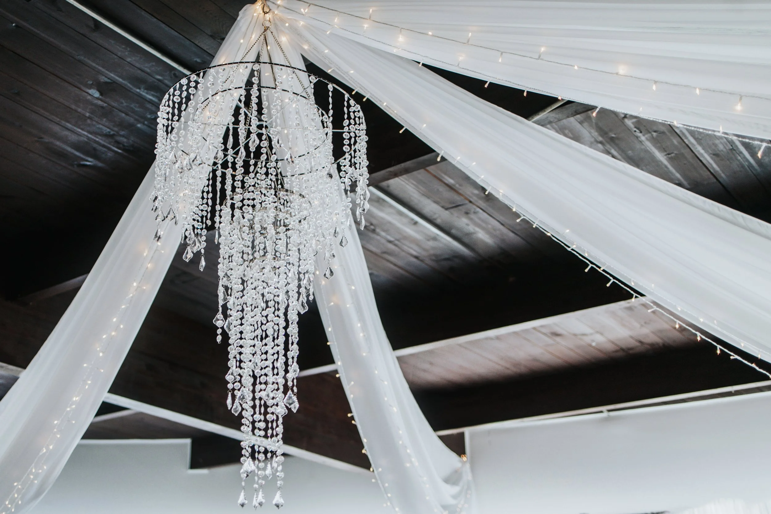 19-Bill Mcguire-18.jpg