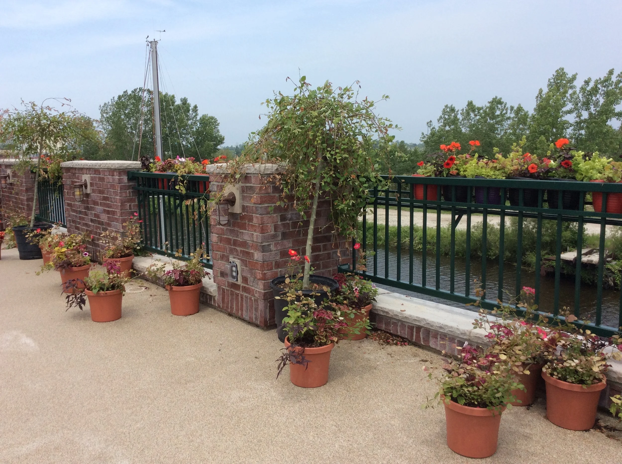 Decorative Steel Terrace Railings Providing Safety Along the Waterfront Rooftop Deck.