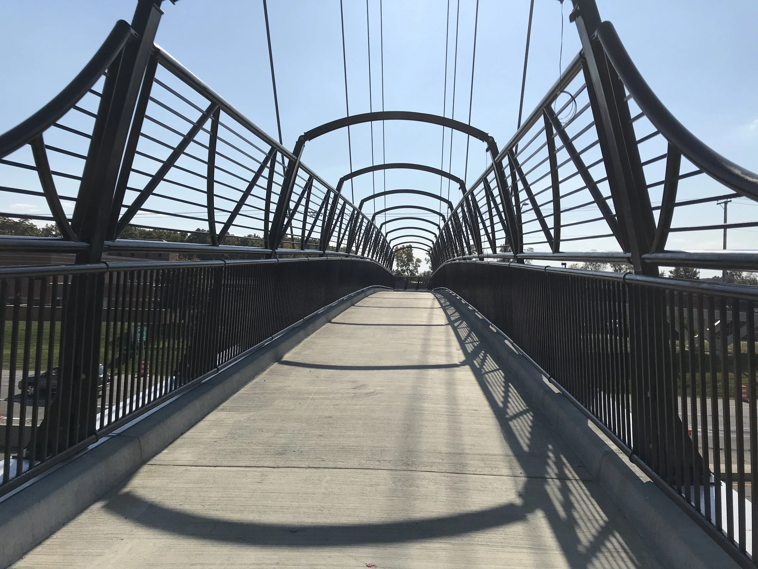 Custom Steel Pedestrian Bridge Railing System Fabricated for Campus Walkway Circulation.