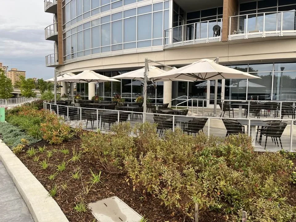 Metal Guardrails Coordinated with Hardscape and Seating Elements Throughout the Patio.