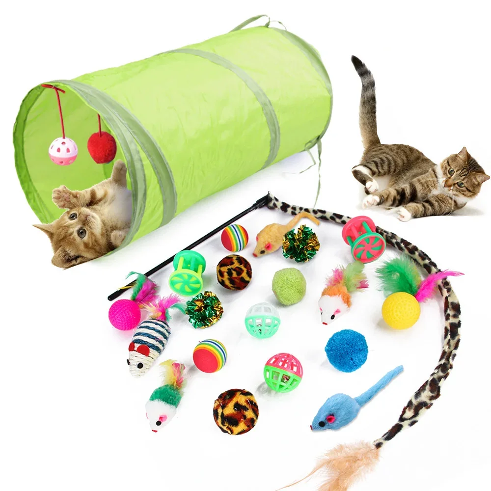 Jeu divers pour chat