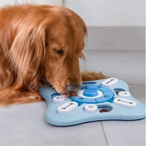 Jeu d'intelligence pour chien