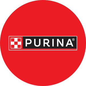 Nourriture pour chien