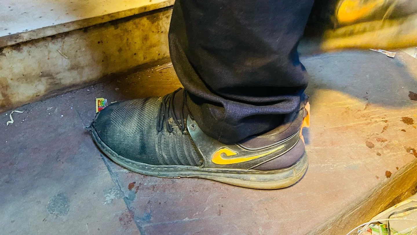 Hitashya in the wild, Jaipur