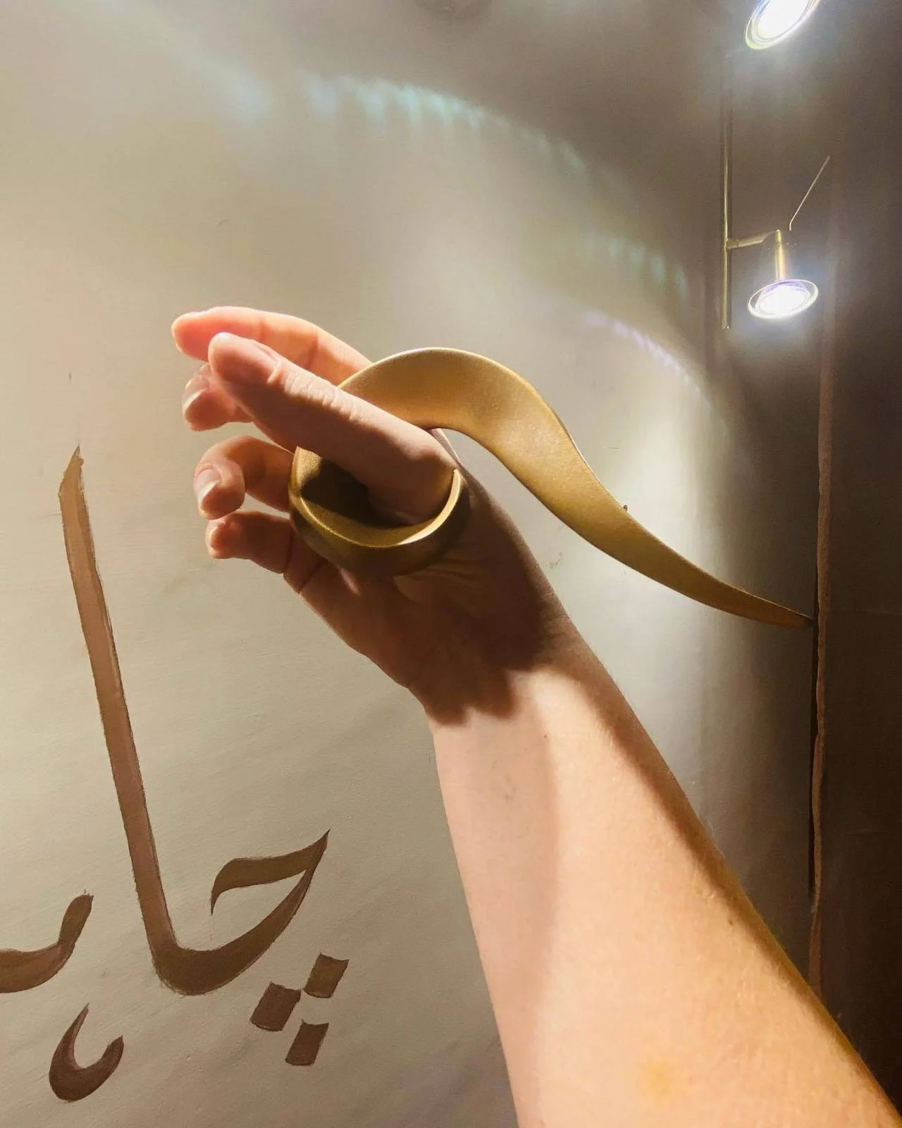 Add to Altar? Or Add to Arsenal? Hitashya Logo (Handheld), 3D printed in Jaipur for a performance inside Hawa Mahal