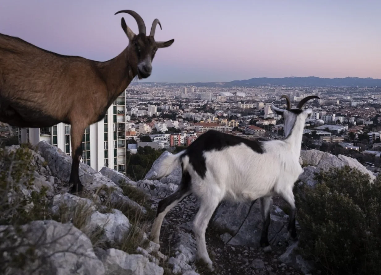 EXPOSITION “PRENDRE ACTE”