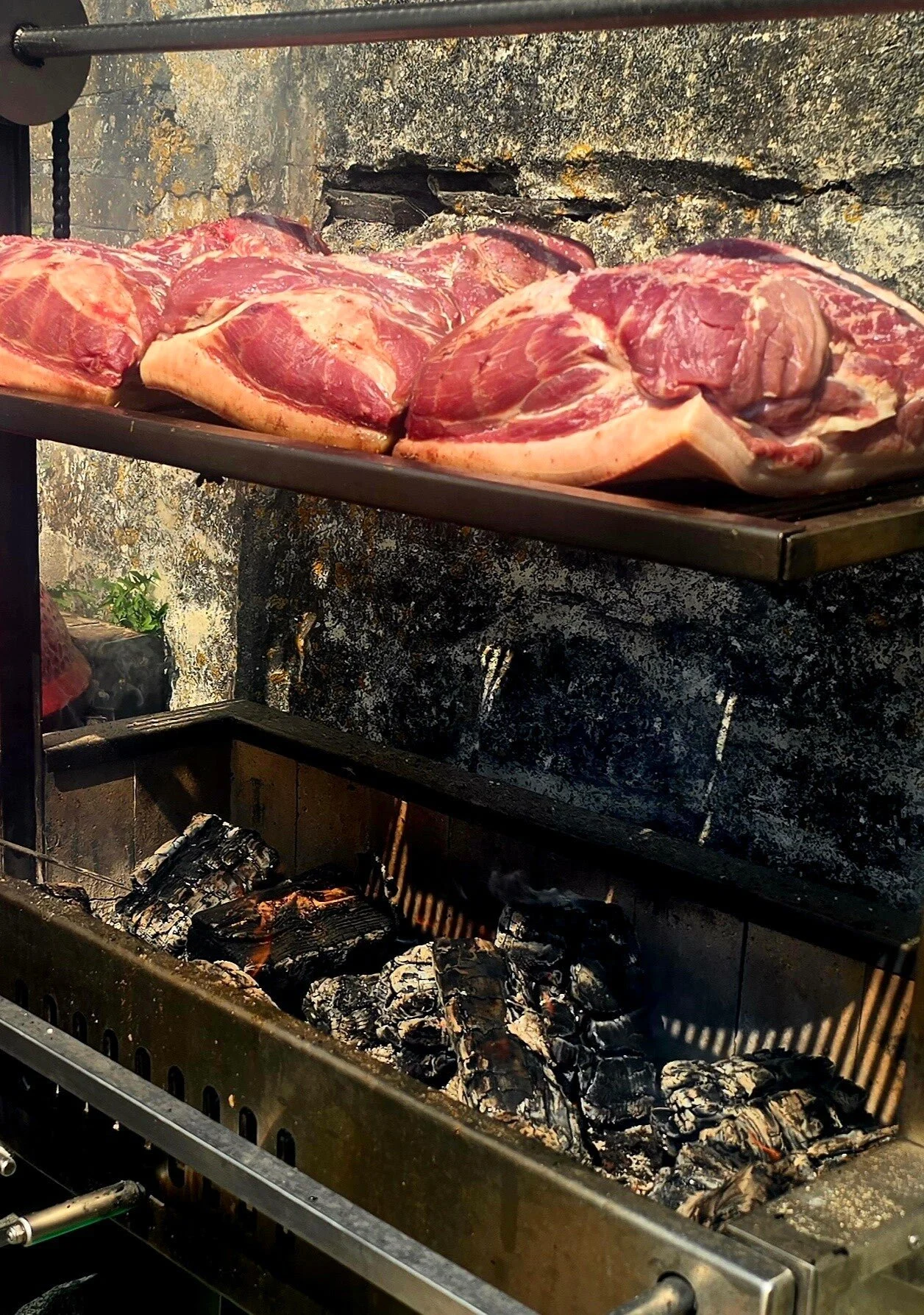 20250812_115745-high (1).jpg