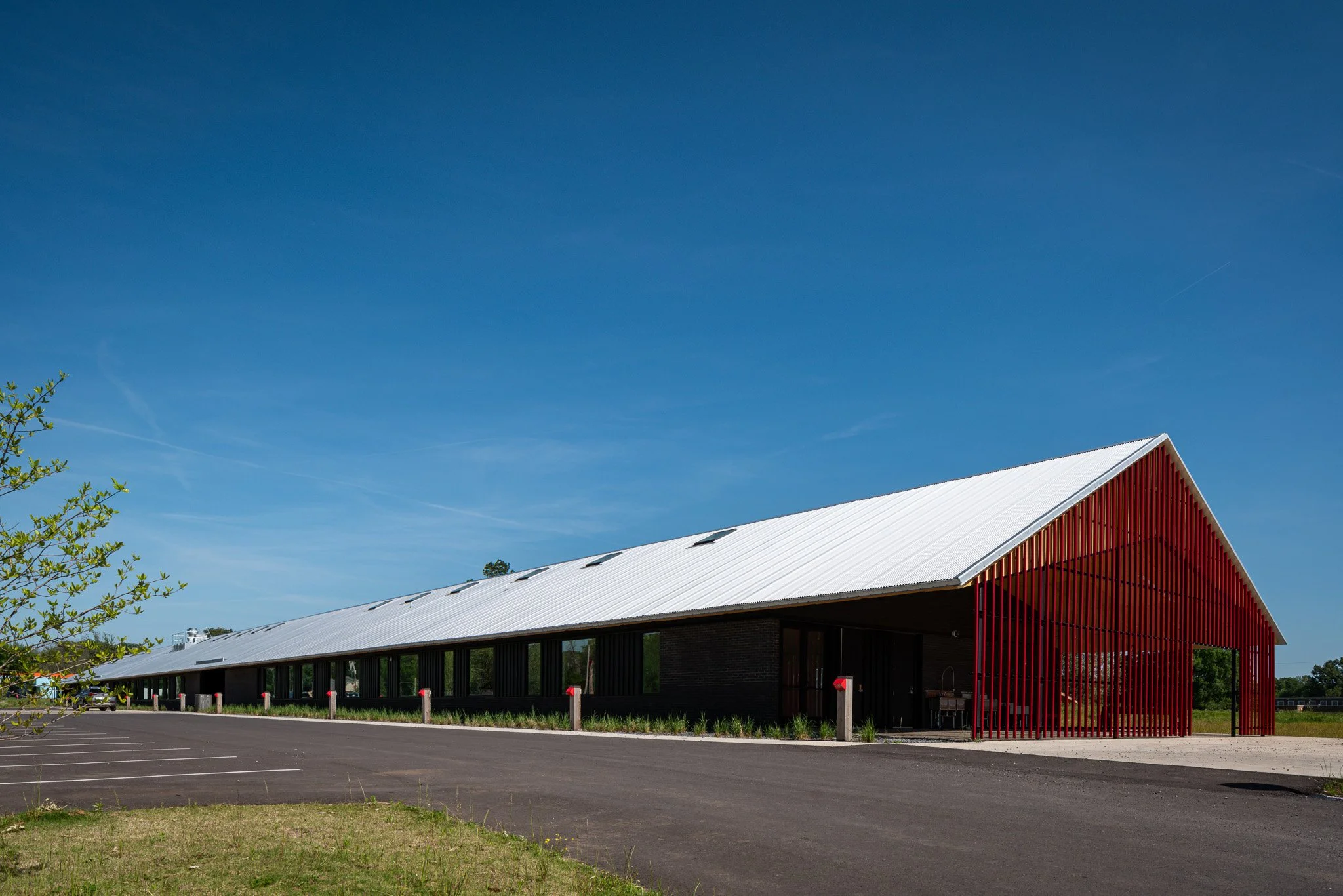 6 Girls _Frayser Farm-5.jpg