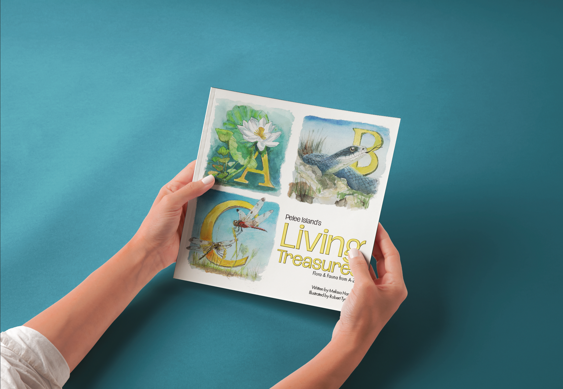 Screen Shot 2026-02-25 at 11.04.19 AM.png