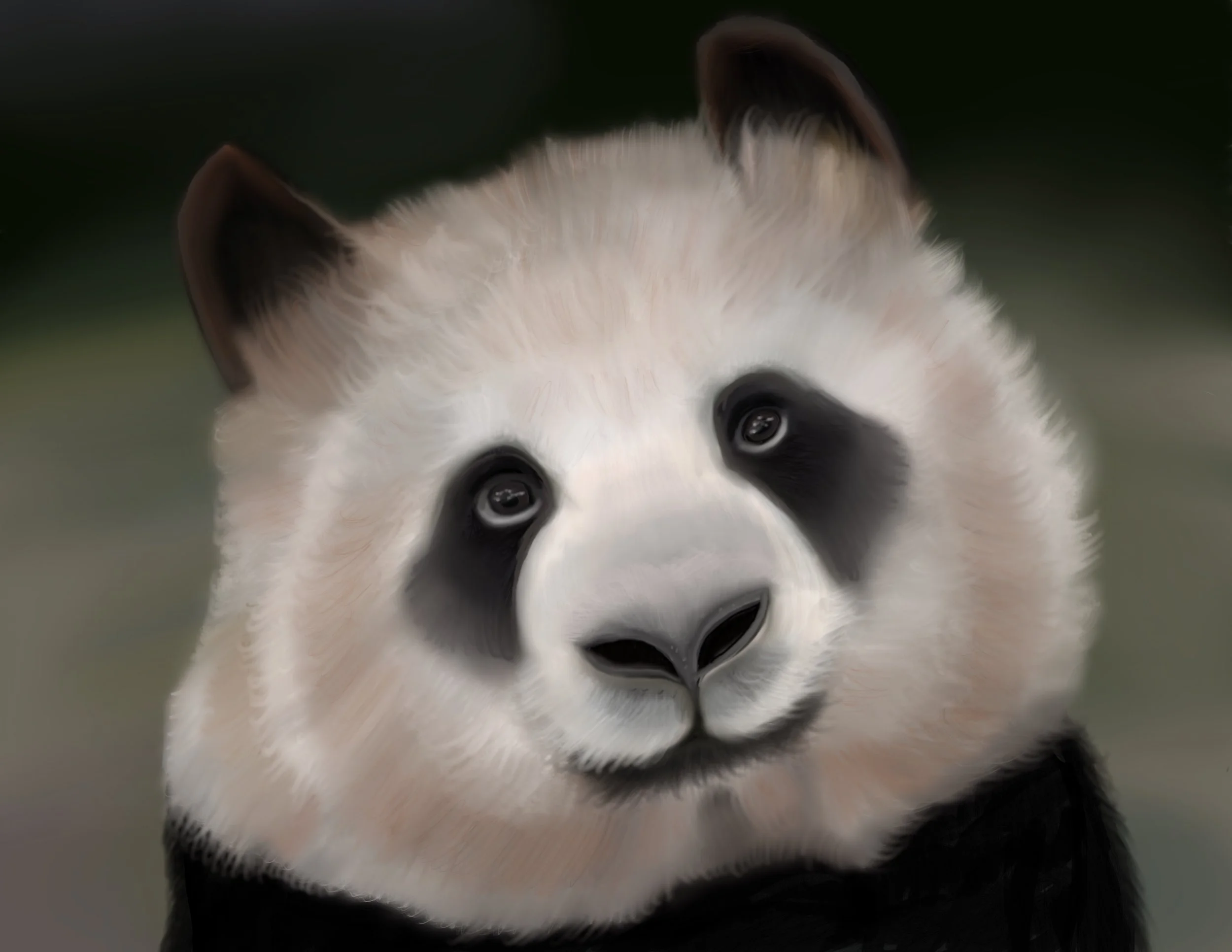 Iconic Panda
