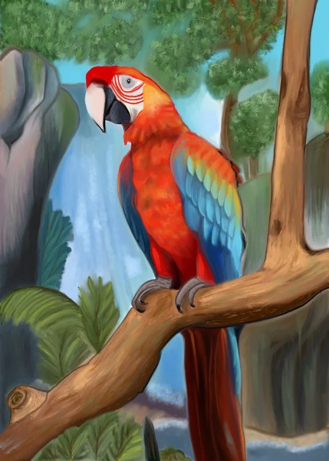 Tropical_Bird.jpg
