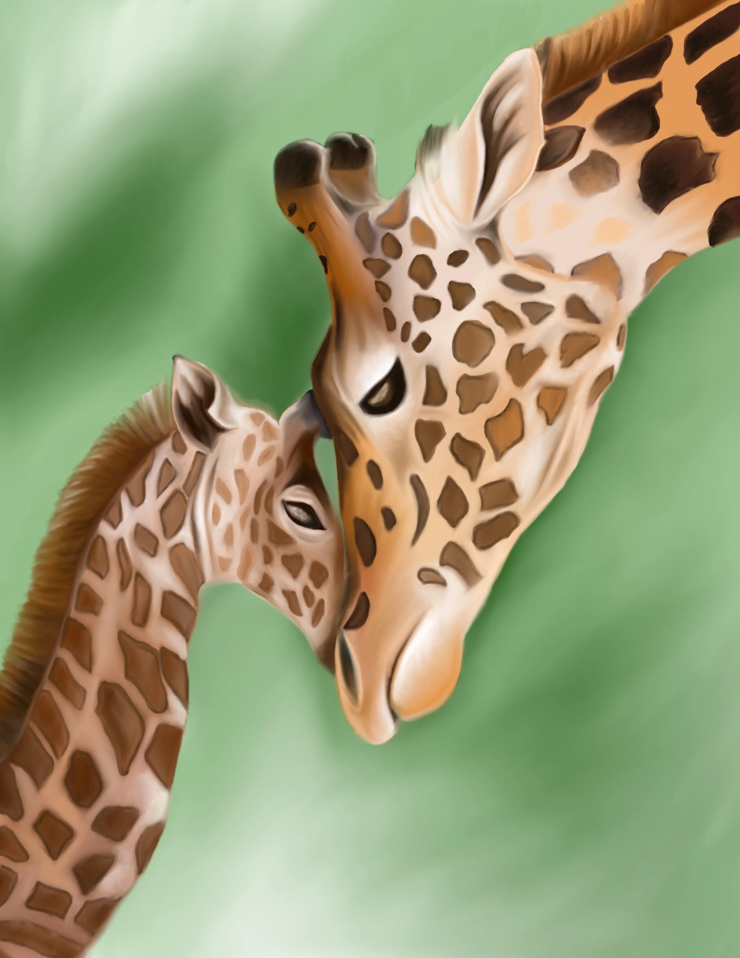 Giraffes- Mama and Baby