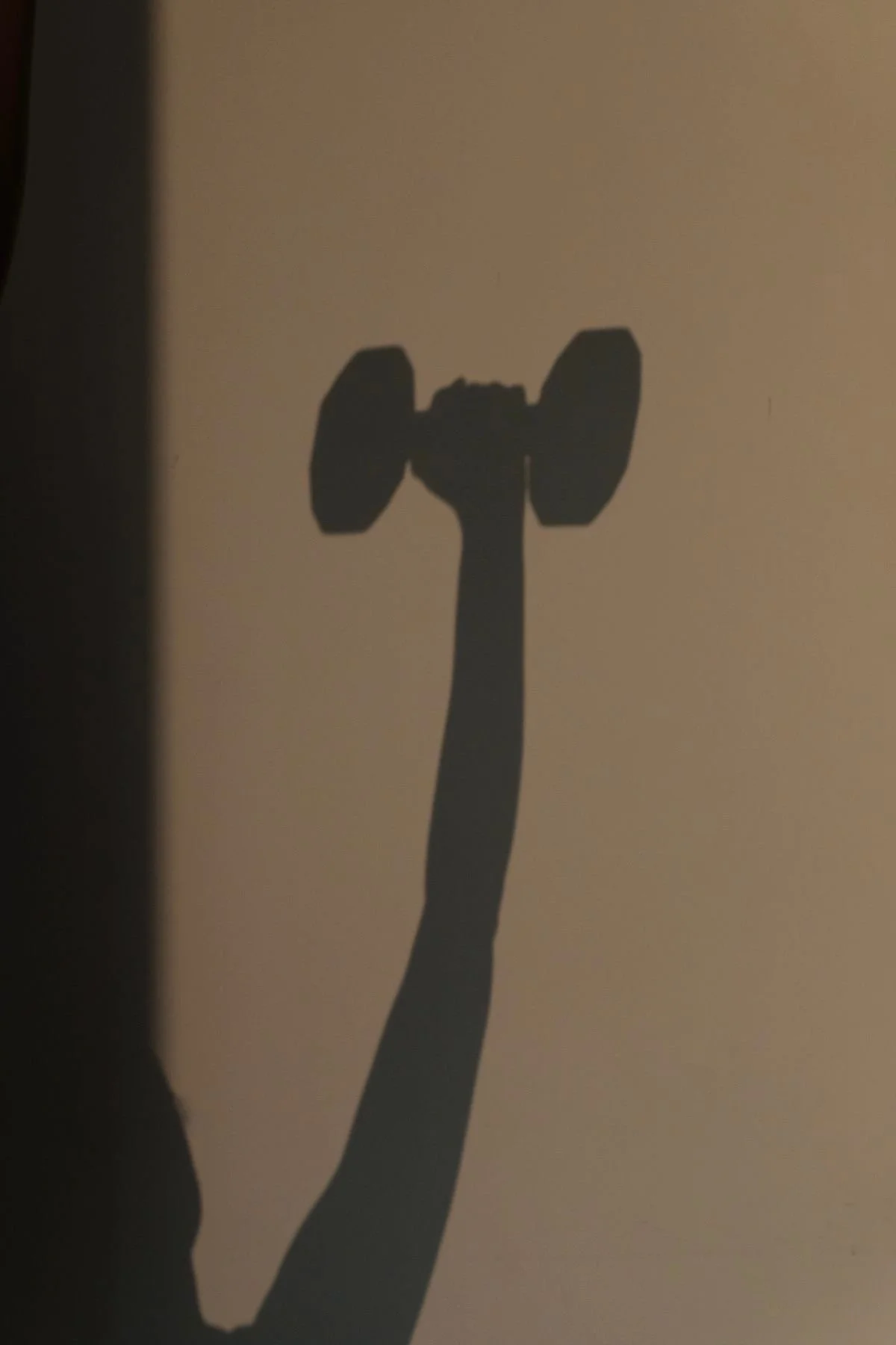 STRENGTH PRIVATE TRAINING - 5 PACK