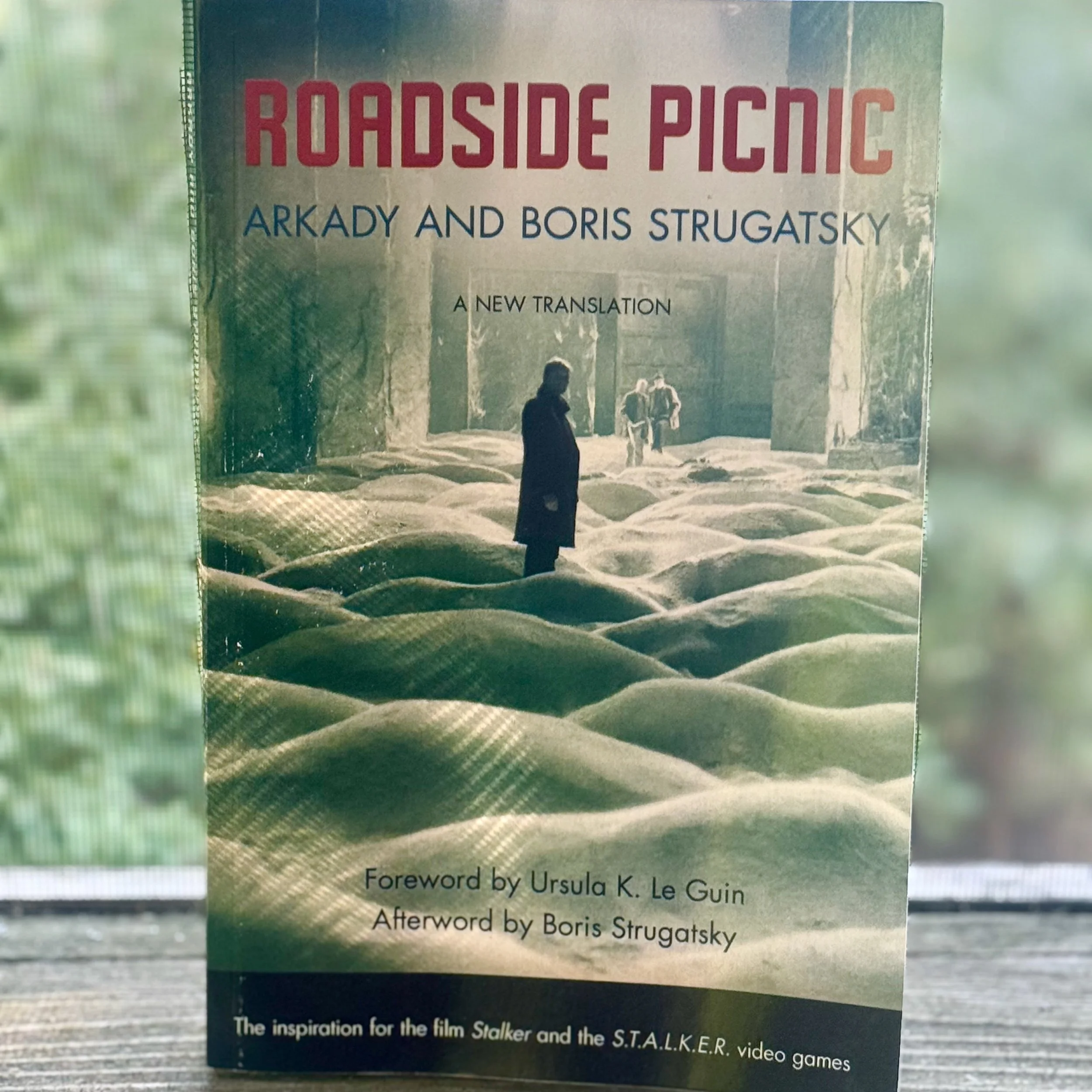 Reading Notes - Roadside Picnic