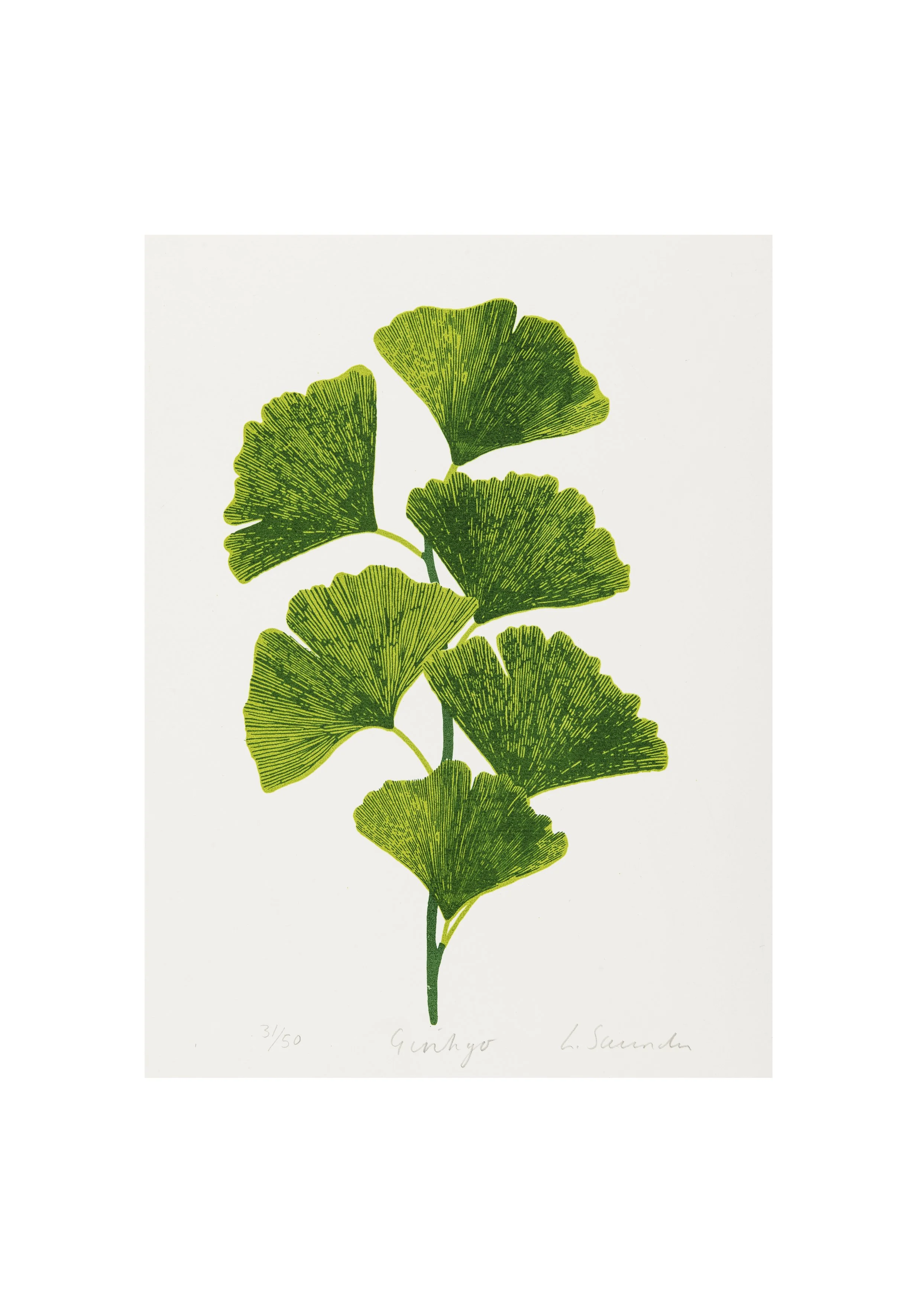 Ginkgo