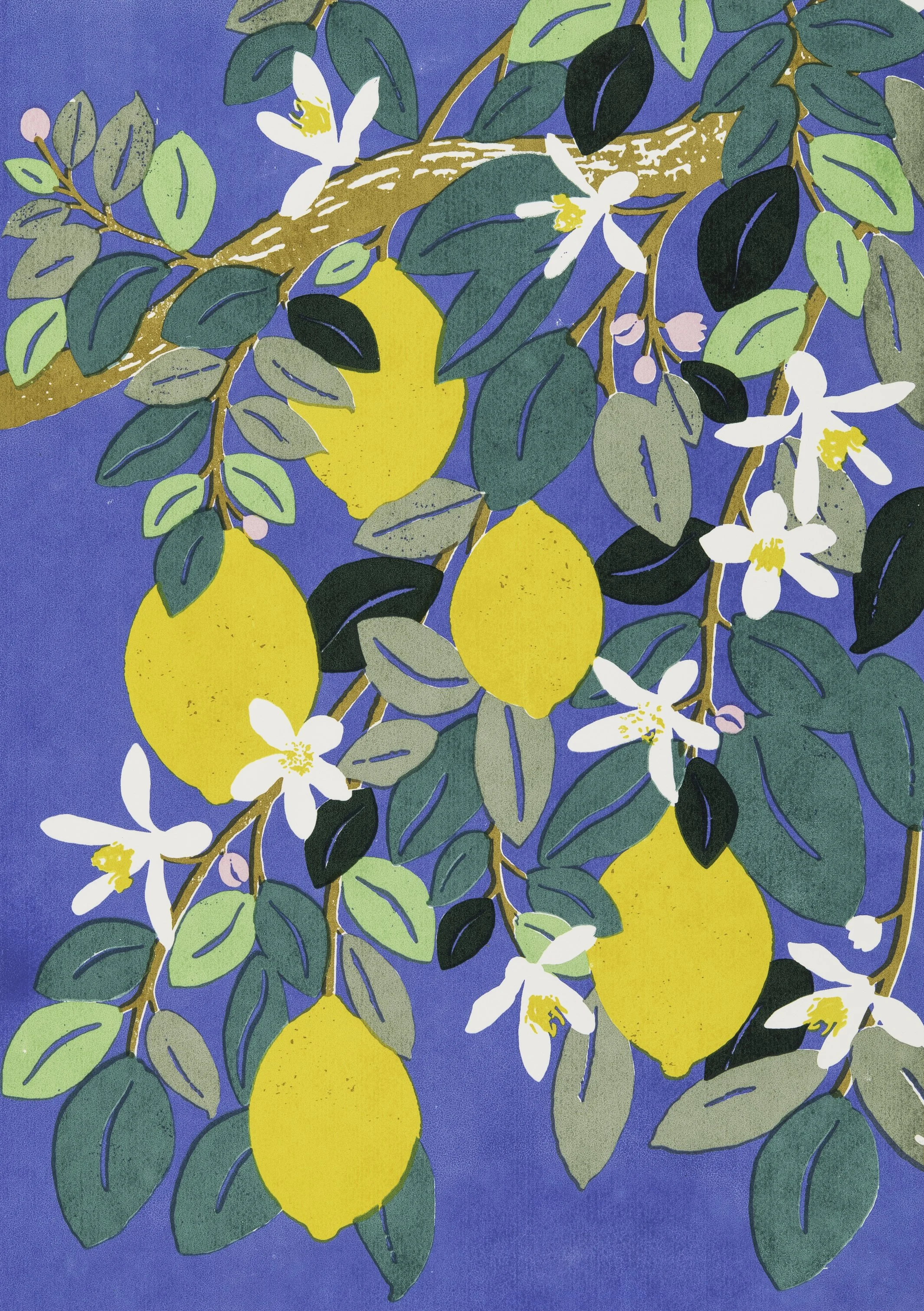 Lemon Grove 002.jpg