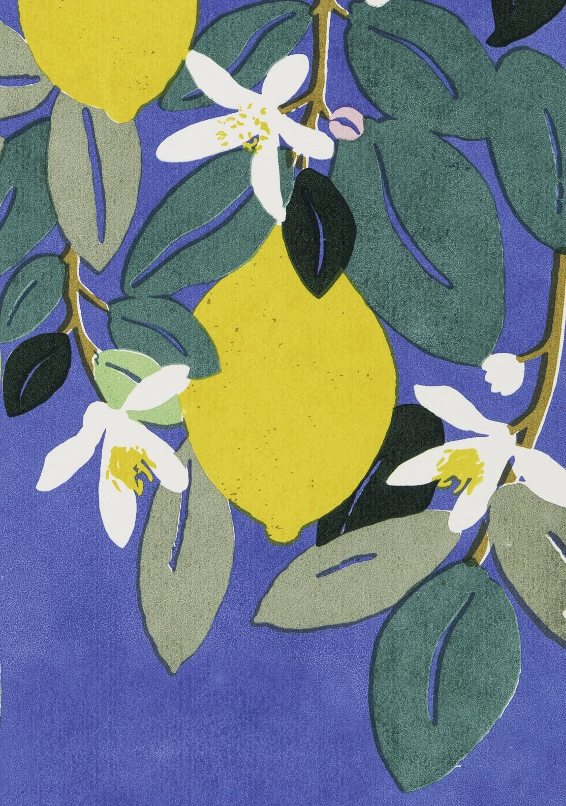 Lemon Grove 003.jpg