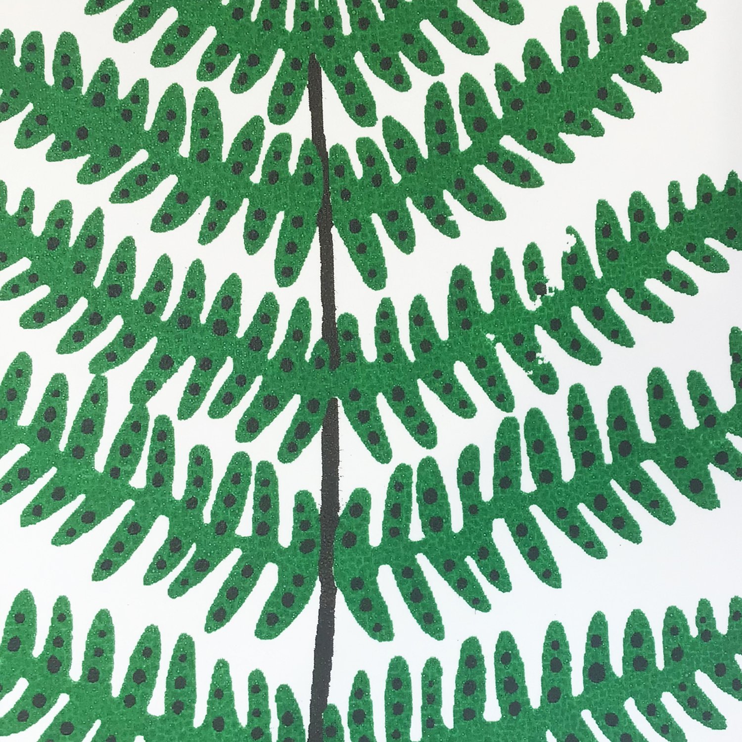 Fern Close Up .jpg