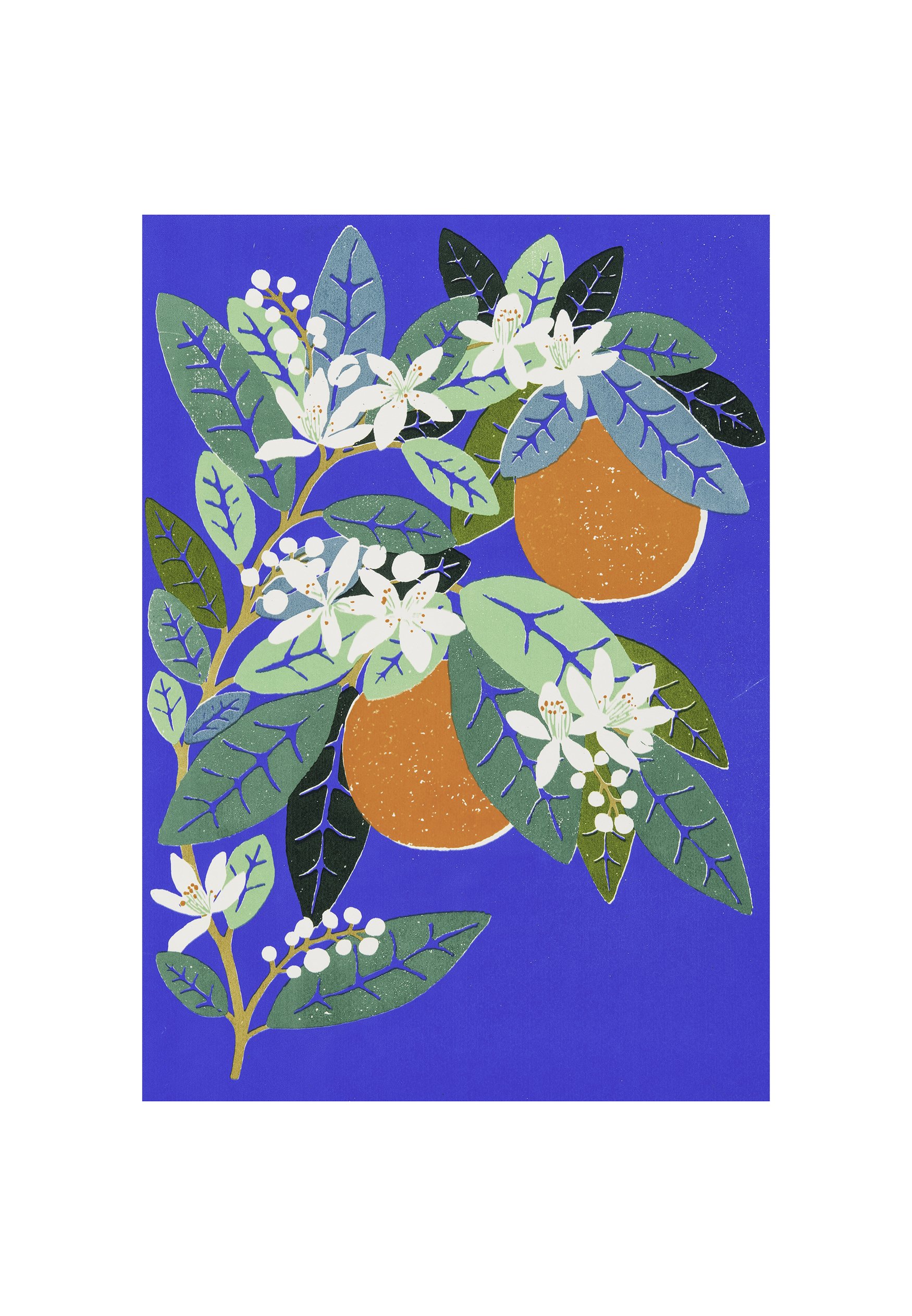 Oranges
