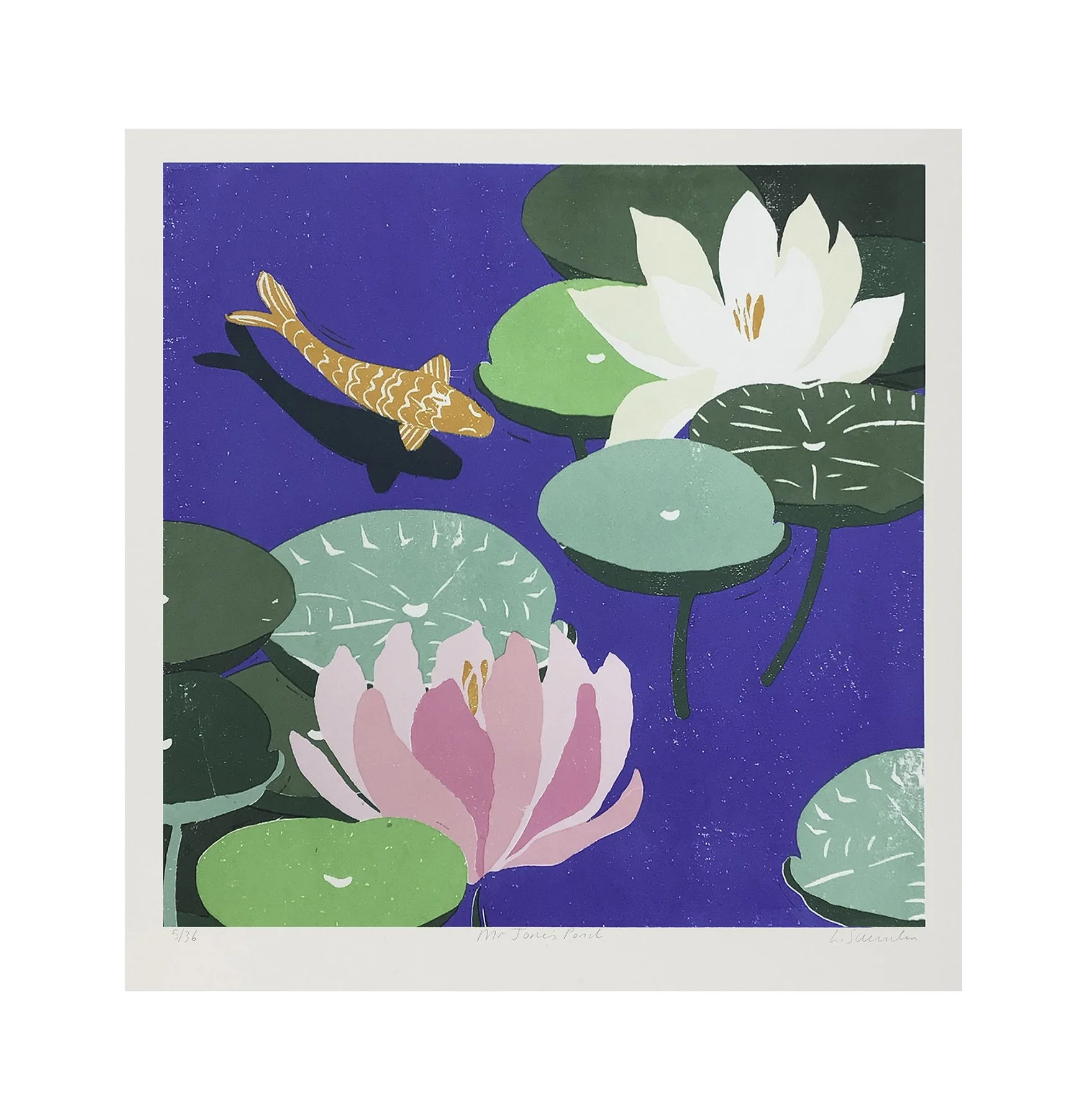 Mr Jone's Pond