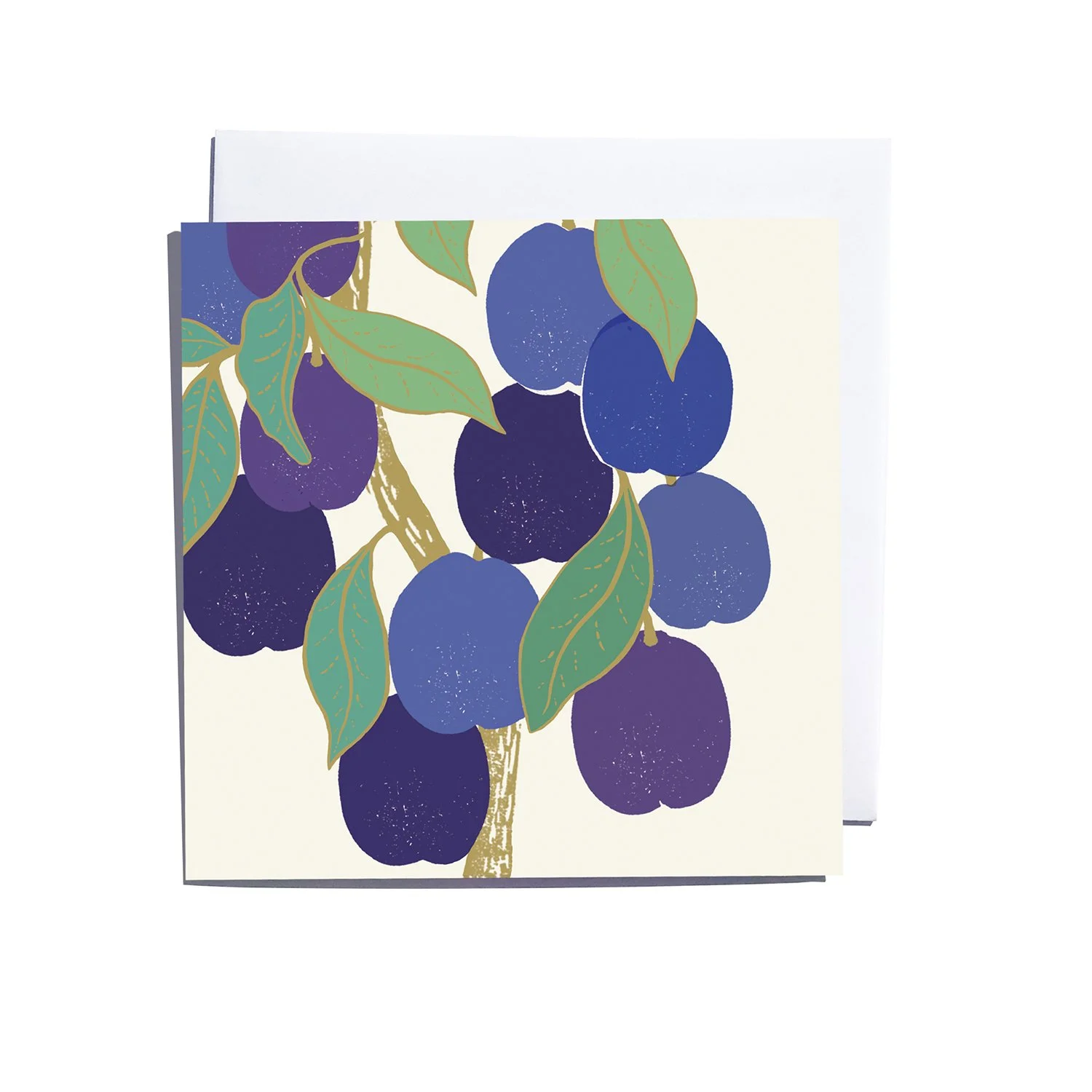 Damsons Blank Art Card