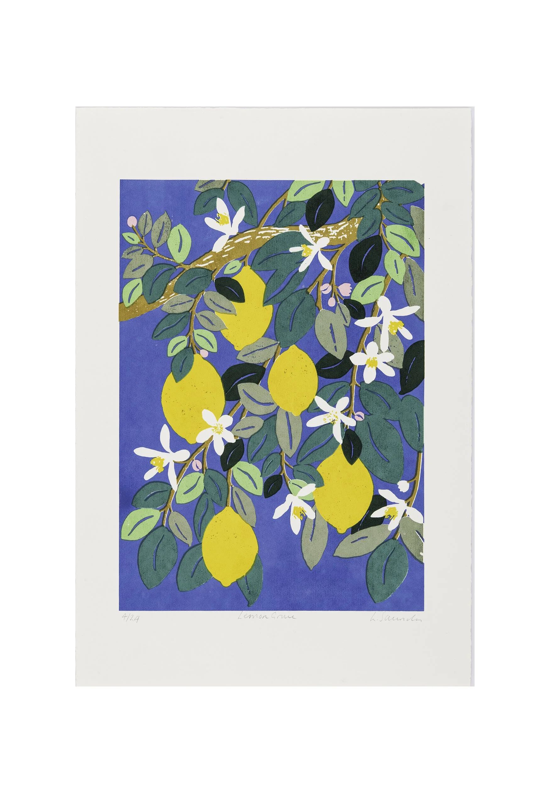 Lemon Grove